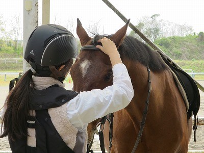 オリンピック乗馬