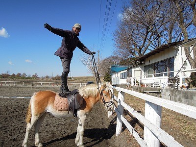 馬と遊ぶ、馬の上に立つ１