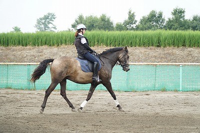 乗馬で感動を