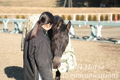 乗馬の小さな理想郷