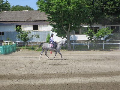 初夏の乗馬