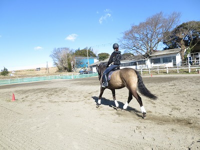 素敵な乗馬体験