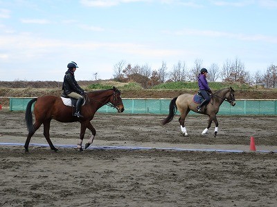 馬の目線で騎乗する