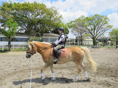 一生懸命が報われてほしい