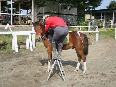 新馬調教　馬にお伺いを立てる