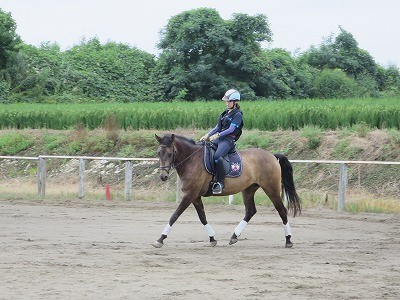 馬と踊ろう