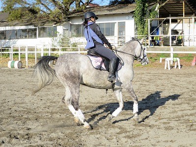 情熱で楽しい乗馬！