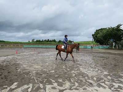 ウィッシュの乗馬風景