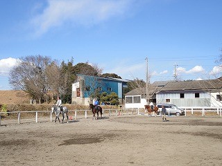 青空の下で乗馬レッスン