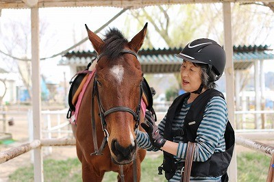 上手な馬の手入れ