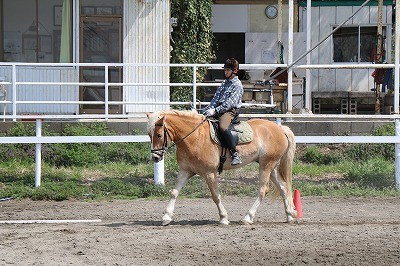 乗馬は予習が大事