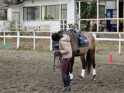 馬が甘えてくれる