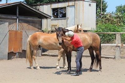 馬との信頼関係