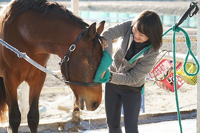 馬の気持ちをどれだけ考えているかな