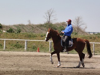 乗馬の楽しさ