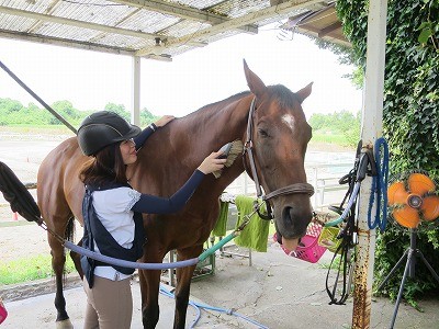 馬との上手なコミュニケーション