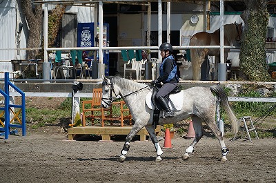 馬と息を合わせる乗馬クラブ