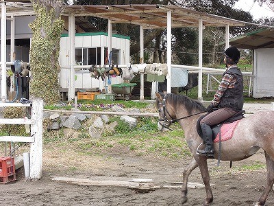 春が来たかな？馬と過ごす暖かい一日
