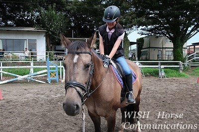 馬に優しい体験乗馬