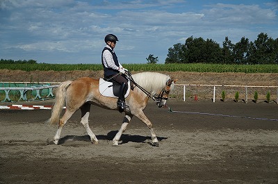 馬と仲良くなるためのテクニック