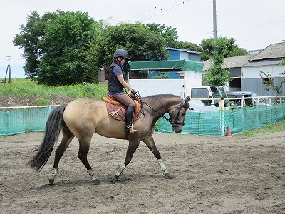 馬との会話を楽しむ乗馬！