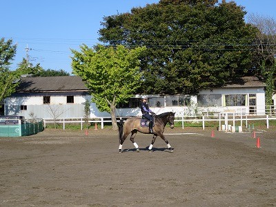 乗馬で無我夢中