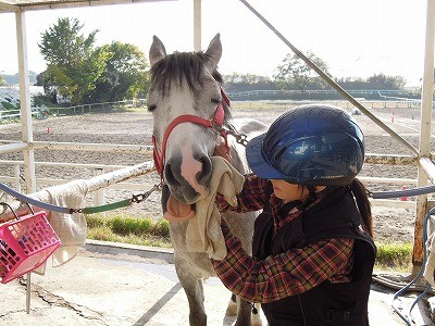 これがウィッシュの乗馬