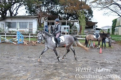 馬との会話で乗ろう！