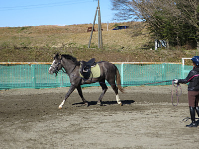 乗馬の楽しみはお互いの成長