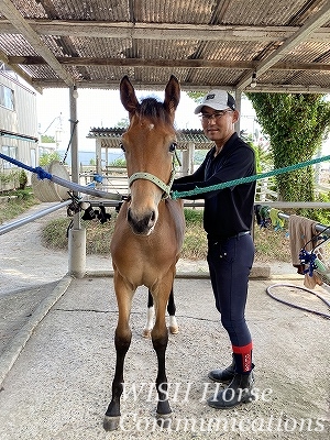 馬の気持ちを大切にする調教