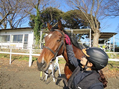 馬とのコミュニケーションを大切にする