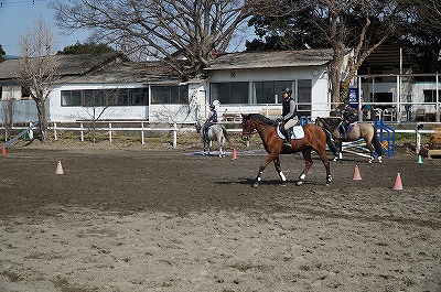 理想に向かって、馬と一緒にひとつのことに向かって