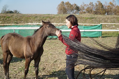 馬との楽しいふれあい