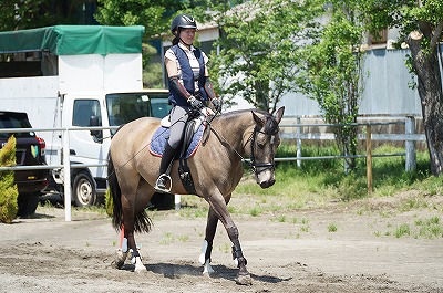 丸みのある動き