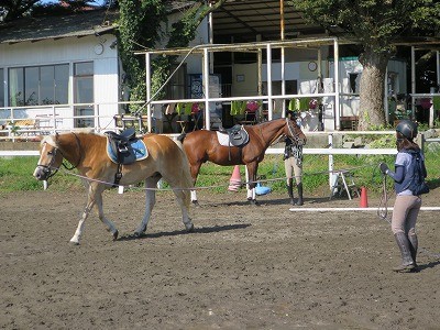 馬とWin-Winな乗馬をしよう！