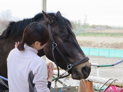 馬が頼ってくれる