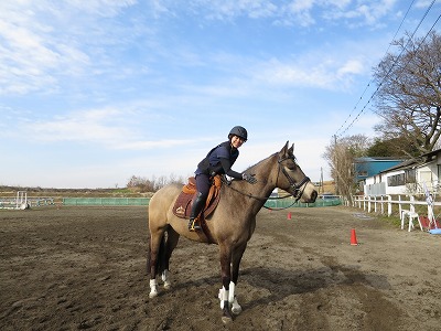 素敵な乗馬