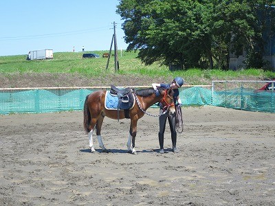 東京競馬場　ディオス