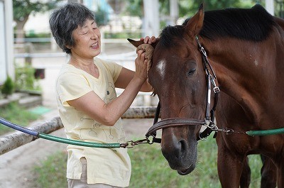 馬は手入れが大好き