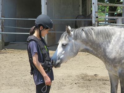 乗馬の喜び