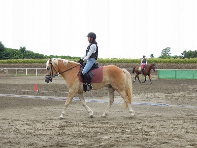 上手く乗ることと馬を良くすることは同じ