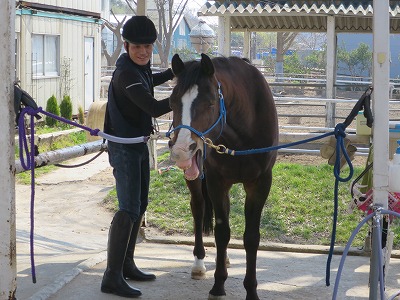 素敵な乗馬体験