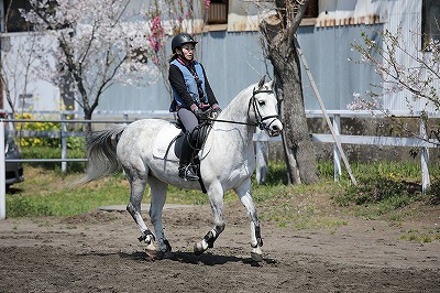 ホースコミュニケーションのエッセンス