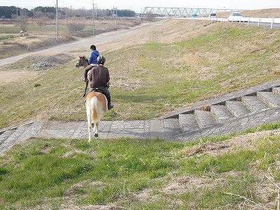 馬に乗って外乗に