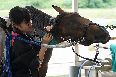 馬が気持ちいい手入れは簡単