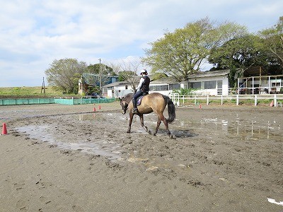 雨上がりキラキラ乗馬