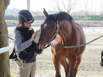 馬会話教室の乗馬