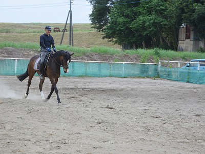 ひたむきに馬と理解しあう努力を