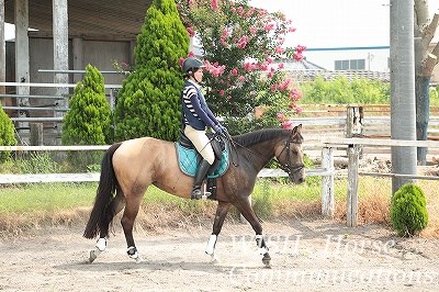 乗馬とリラックス