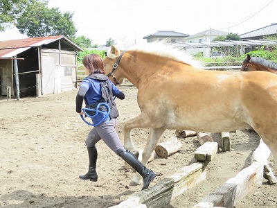 馬と一緒にいろんなことを